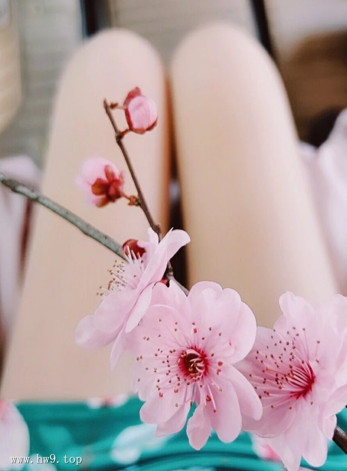 辣妈女神丨微密合集[已更4期]